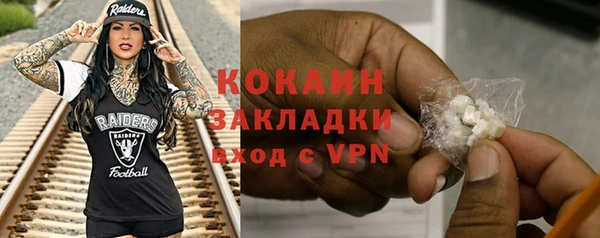 молекула духа Каменногорск