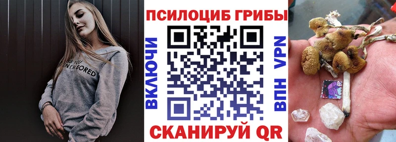 купить закладку  Мирный  Псилоцибиновые грибы Psilocybe 