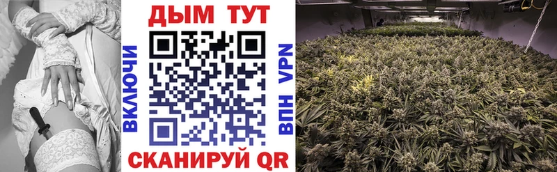 Бошки Шишки SATIVA & INDICA  Мирный 